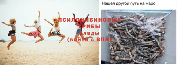 бошки Алзамай