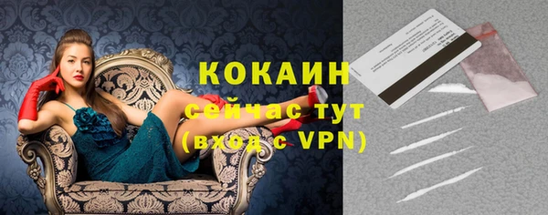молекула духа Алексин