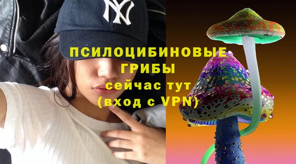 молекула духа Алексин